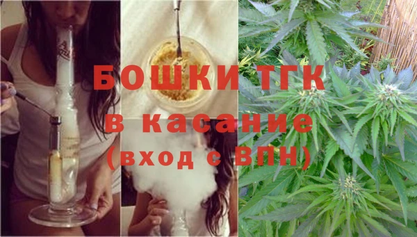 дурь Краснотурьинск