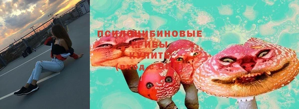 СК Краснослободск