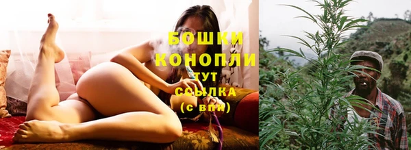дурь Краснотурьинск