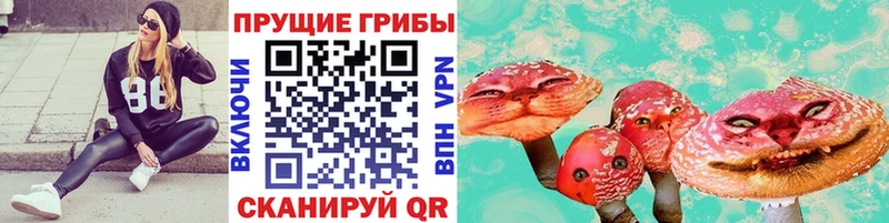 Купить  Лагань  Галлюциногенные грибы Cubensis 